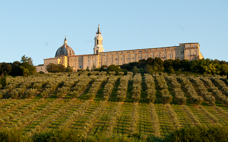 agriturismo ostra